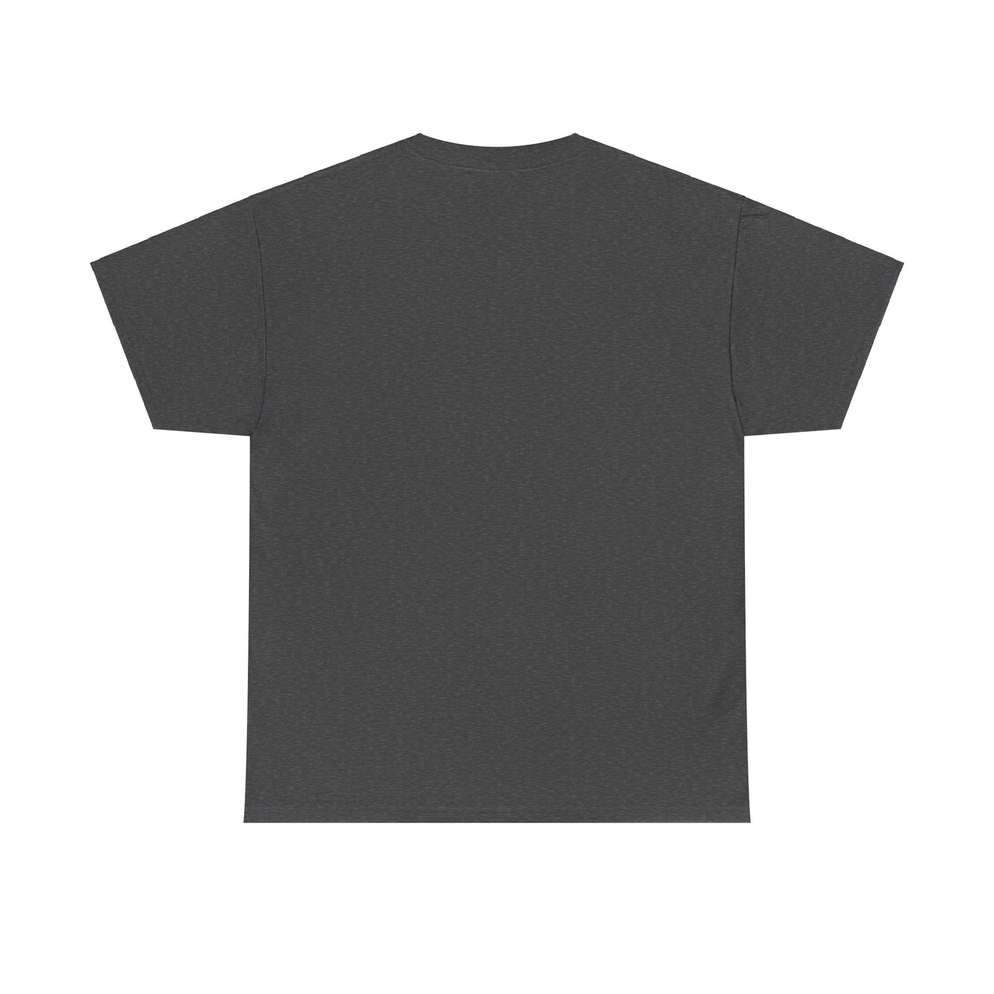 Why Yes, Actually I Can Drive a Stick T-Shirt - Witchy Broomstick Humor