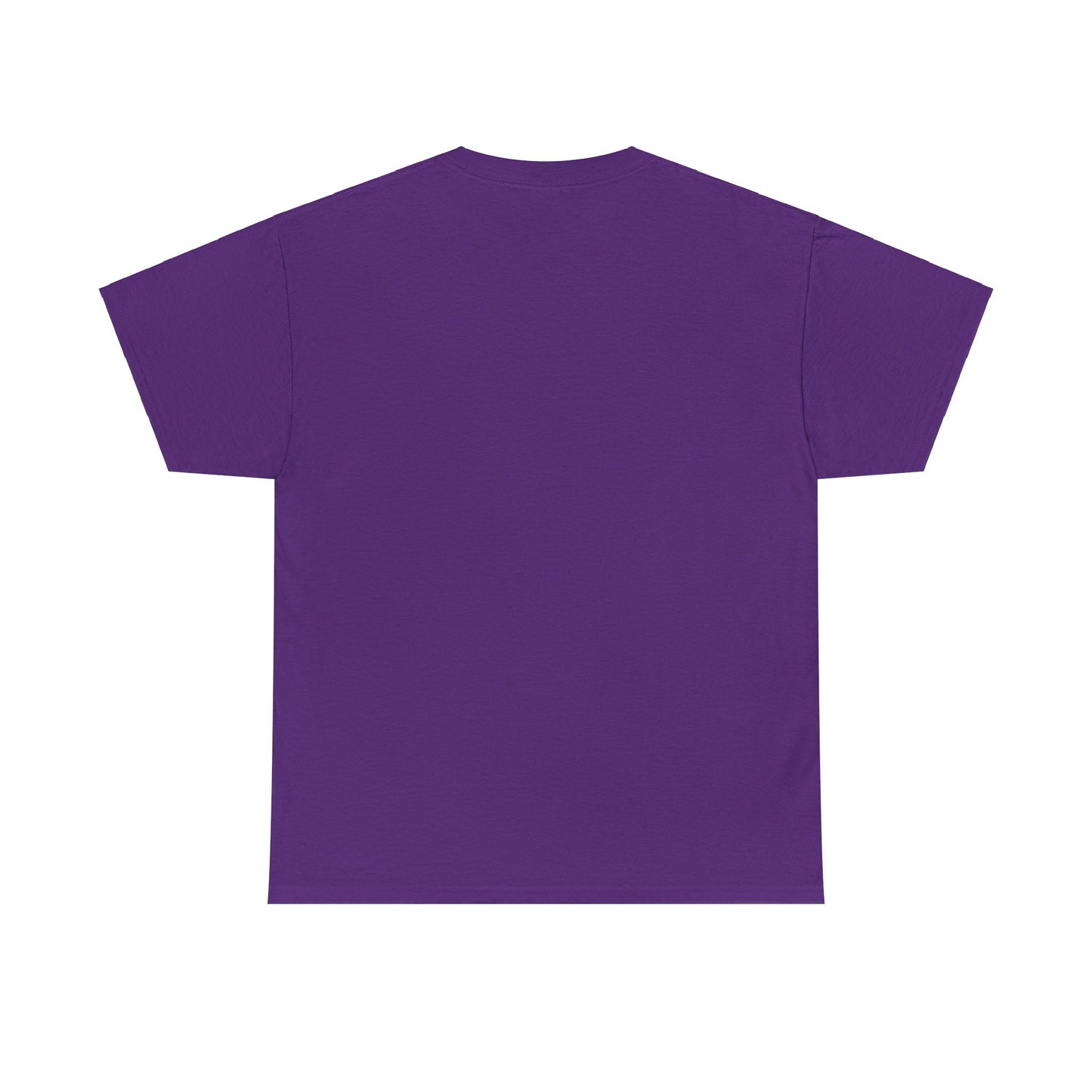 Why Yes, Actually I Can Drive a Stick T-Shirt - Witchy Broomstick Humor
